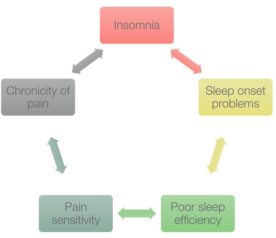 Diagram showing the cycle between insomnia, pain sensitivity, and poor sleep efficiency
